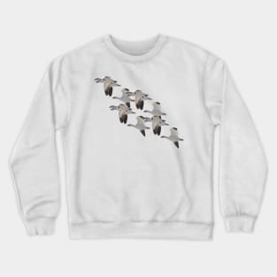 Snow Goose Migration Crewneck Sweatshirt